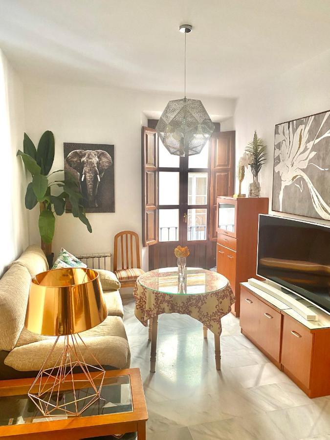 Bonito Y Acogedor Apartamento Pleno Centro Junto Catedral Granada Ngoại thất bức ảnh