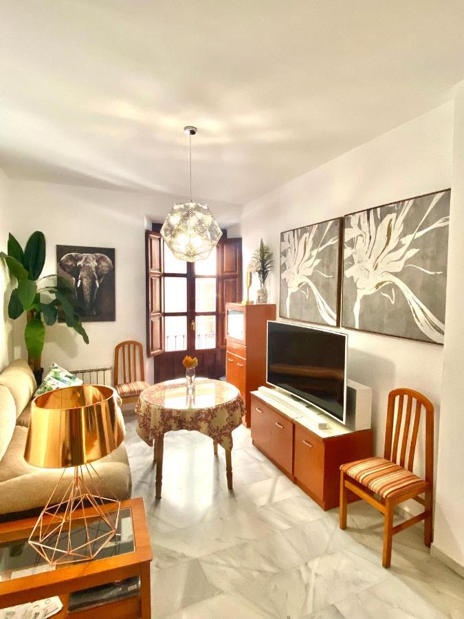 Bonito Y Acogedor Apartamento Pleno Centro Junto Catedral Granada Ngoại thất bức ảnh