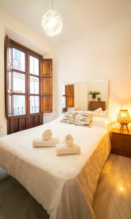 Bonito Y Acogedor Apartamento Pleno Centro Junto Catedral Granada Ngoại thất bức ảnh